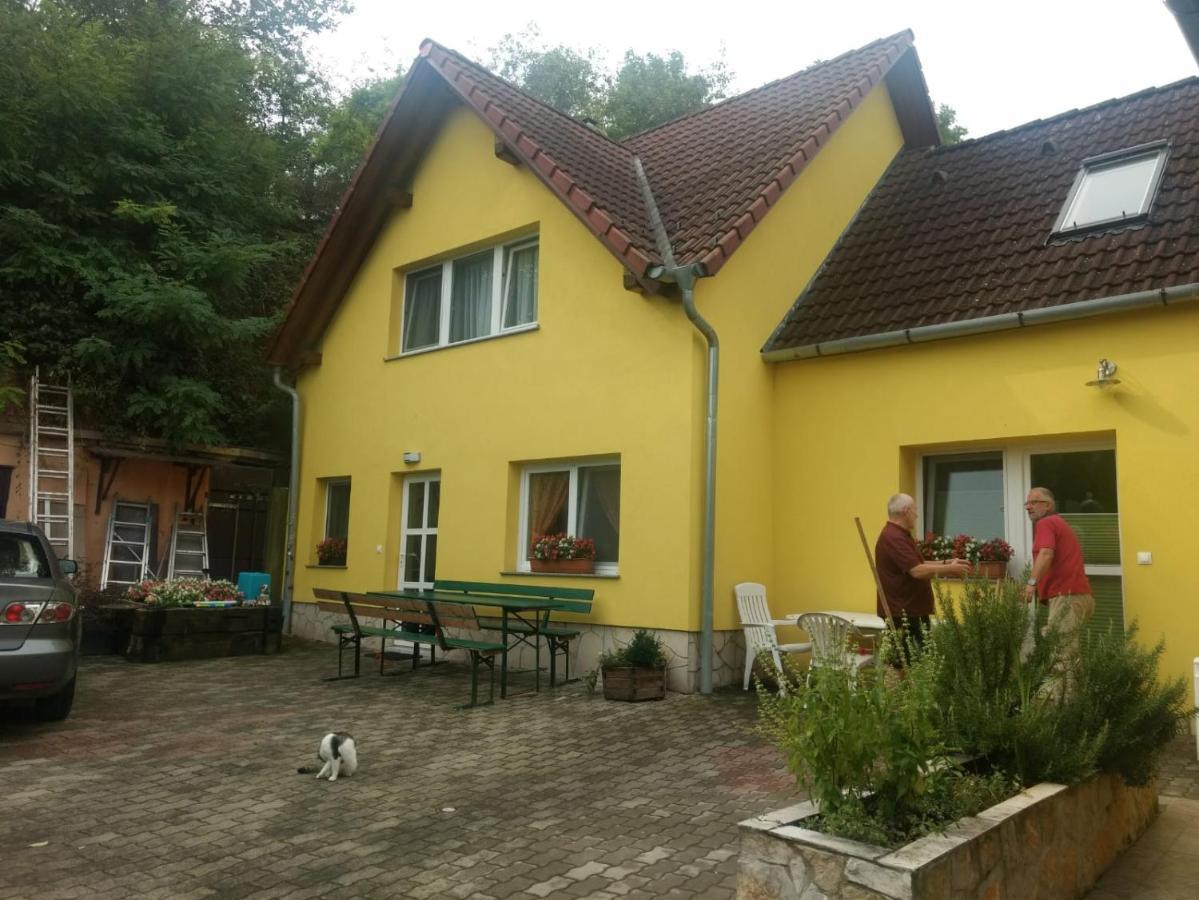 Vila Foki Vendeghaz Hidegseg Exteriér fotografie